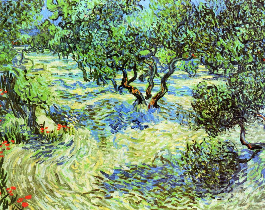 Olive Grove Bright Blue Sky Vincent van Gogh Ölgemälde